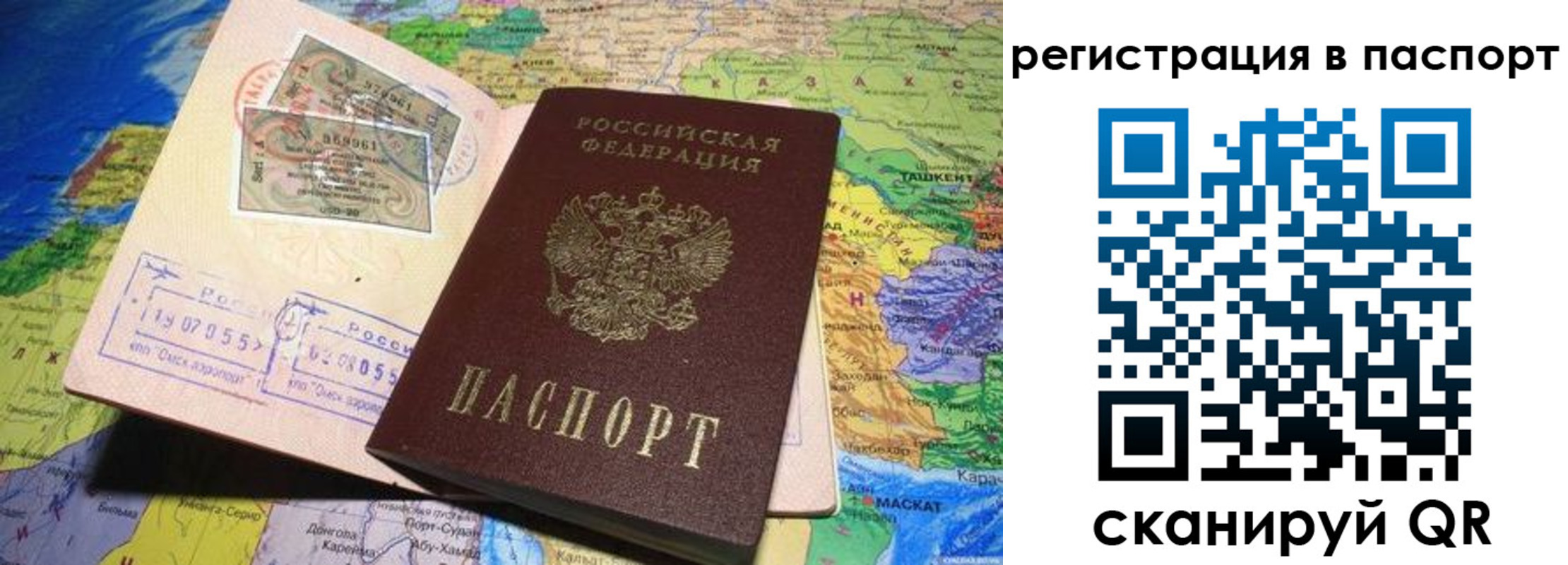 прописка гарантия в Куртамыше